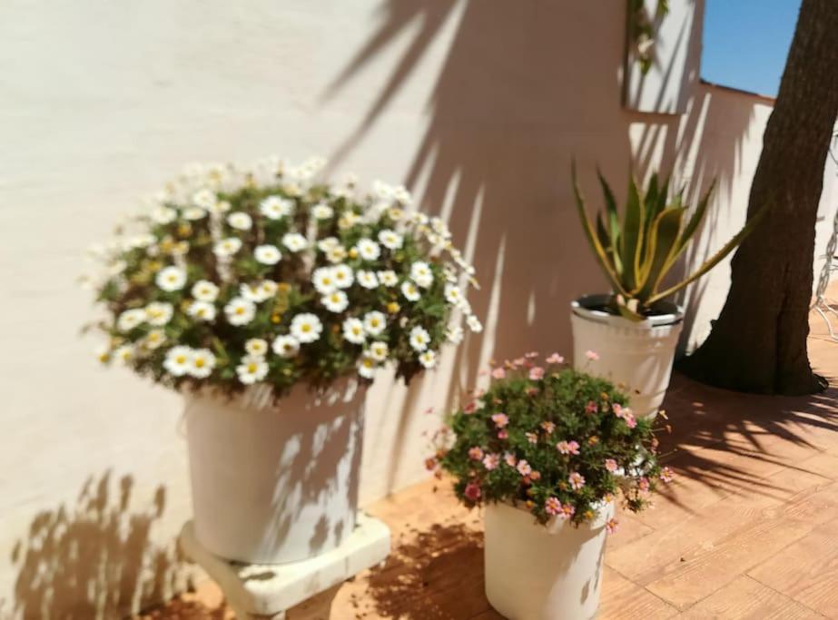 Casa Vacacional *